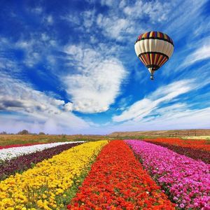 Meet your Posher, Kay